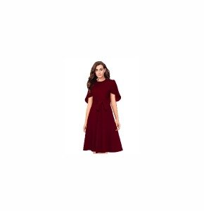 Women Fit and Flare Maroon Dress